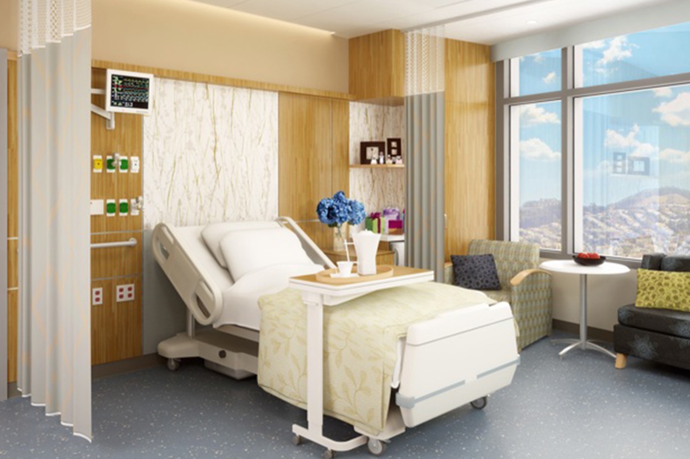 Medical facility pest control